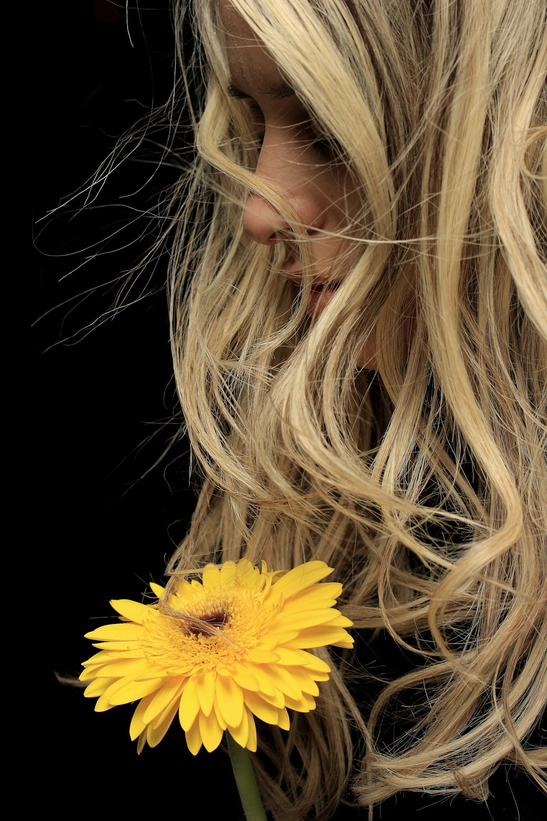 Teintes blondes variées pour sublimer les cheveux crépus