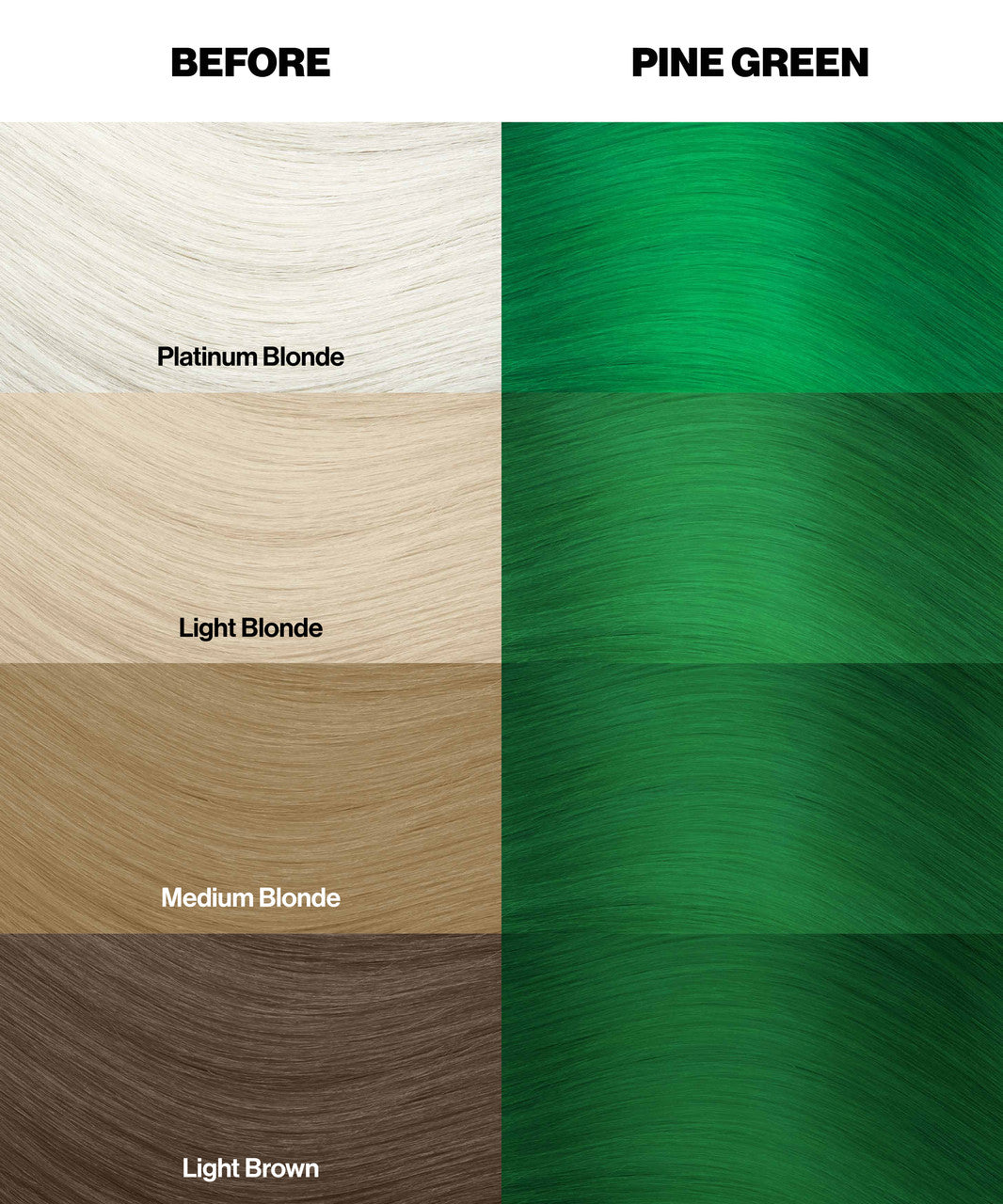 Crazy Color Vert Sapin (pine Green) Color swatches for hair color before and after a change to pine green, with labels for platinum blonde, light blonde, medium blonde, and light brown by Afro Beauty Store