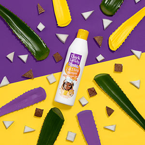 Dark & Lovely Beautiful Beginnings 2-in-1 Easy Shampoo 250ml - Afro Beauty Store